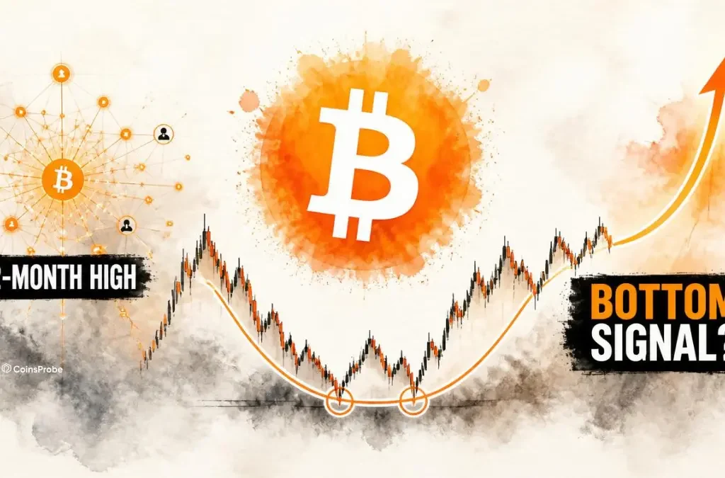 Bitcoin Network Activity Hits 12-Month High as BTC Flashes Bottom Signal