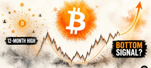 Bitcoin Network Activity Hits 12-Month High as BTC Flashes Bottom Signal