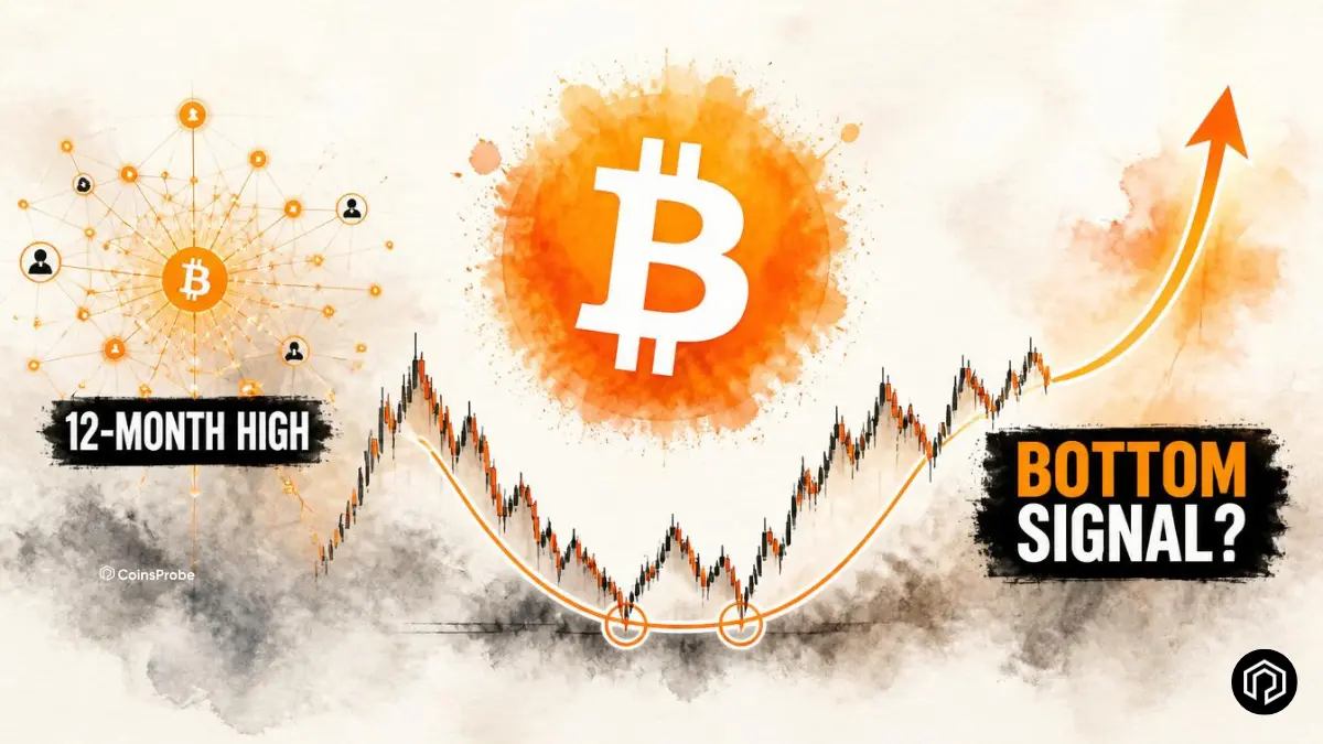 Bitcoin Network Activity Hits 12-Month High as BTC Flashes Bottom Signal