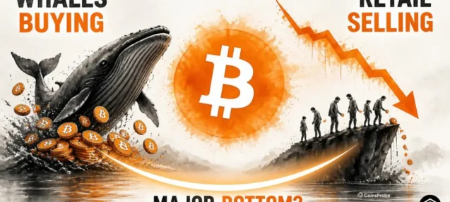 Bitcoin Whales Accumulate as Retail Sells — Long-Term Chart Signals Major $BTC Bottom?