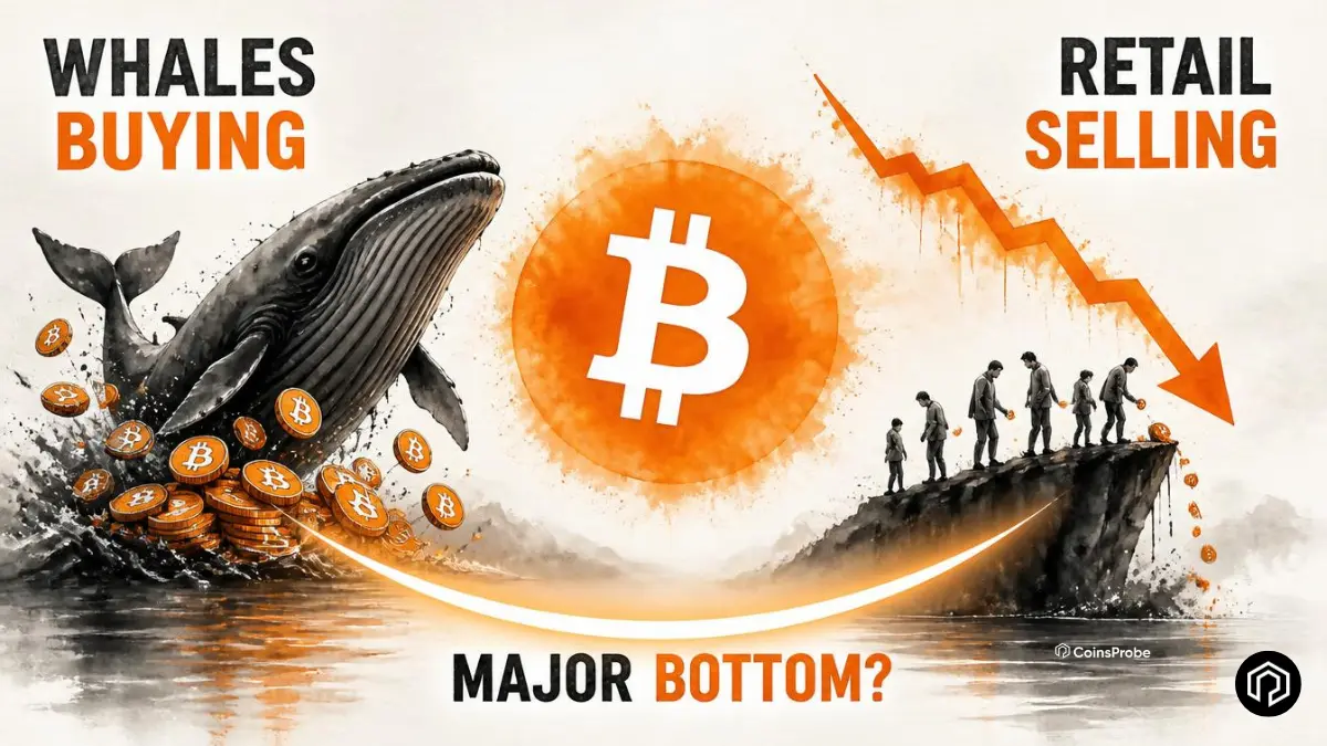 Bitcoin Whales Accumulate as Retail Sells — Long-Term Chart Signals Major $BTC Bottom?