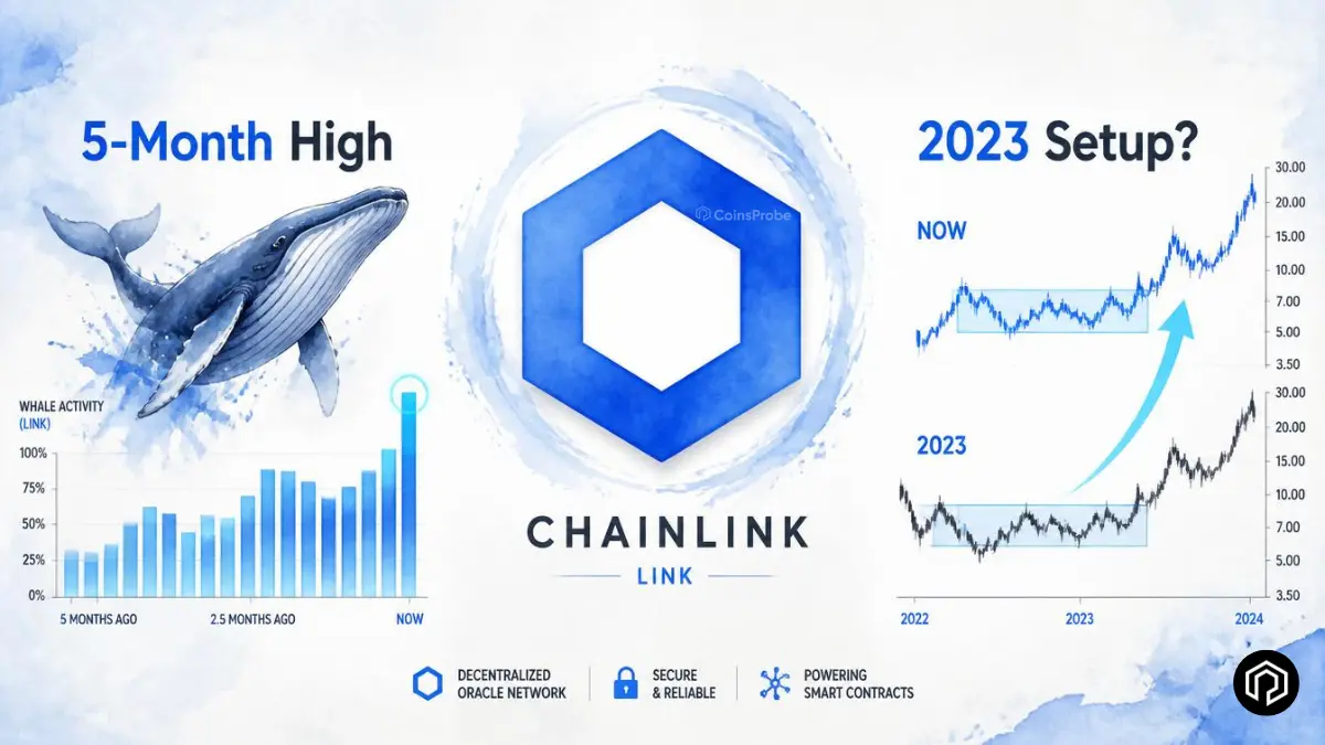 Chainlink (LINK) Hits 5-Month Whale Activity High — Chart Mirrors 2023 Accumulation Setup