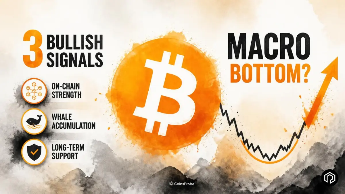 Is Bitcoin’s Macro Bottom Already In? 3 Signals Point to Bullish Market