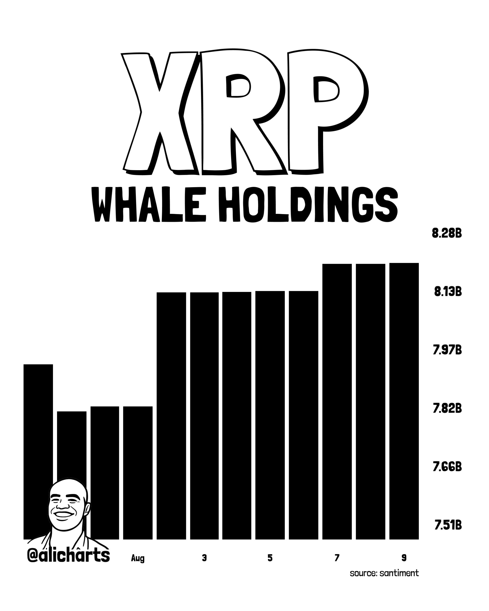 XRP Whale Holdings