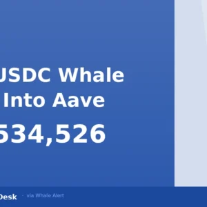 Whale Moves $160.5M USDC Into Aave in Single On-Chain Transfer
