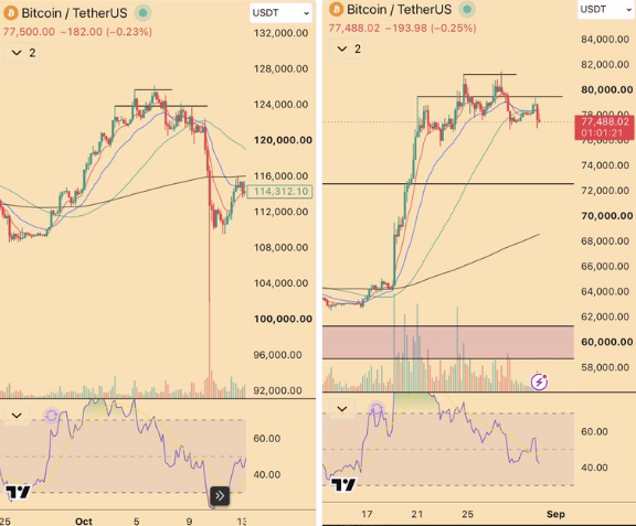 BTC Fractal Chart