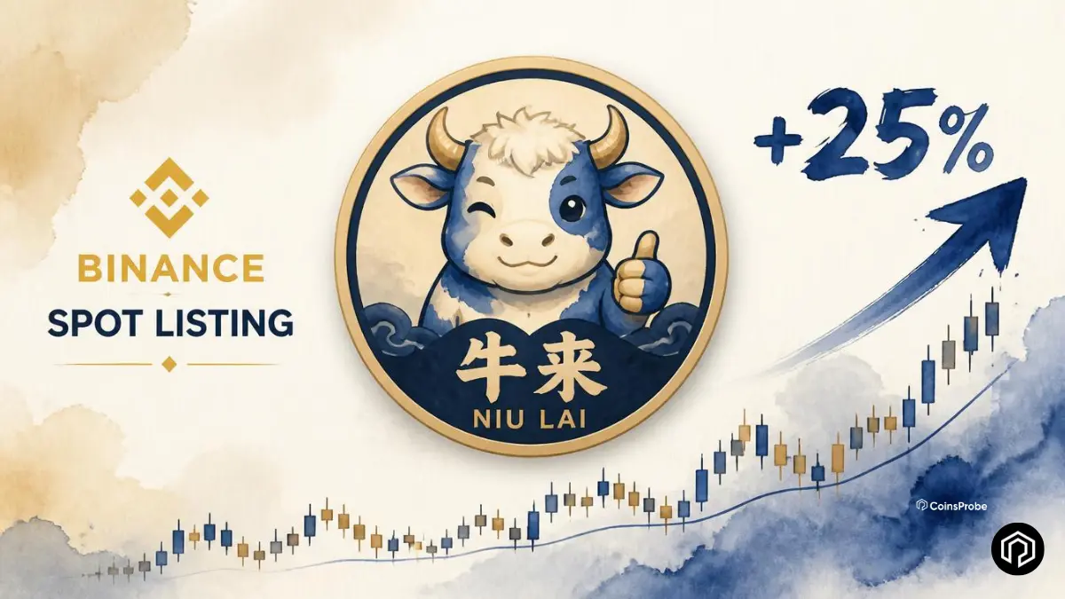 Niu Lai (牛来) Jumps +25% After Binance Spot Listing Announcement