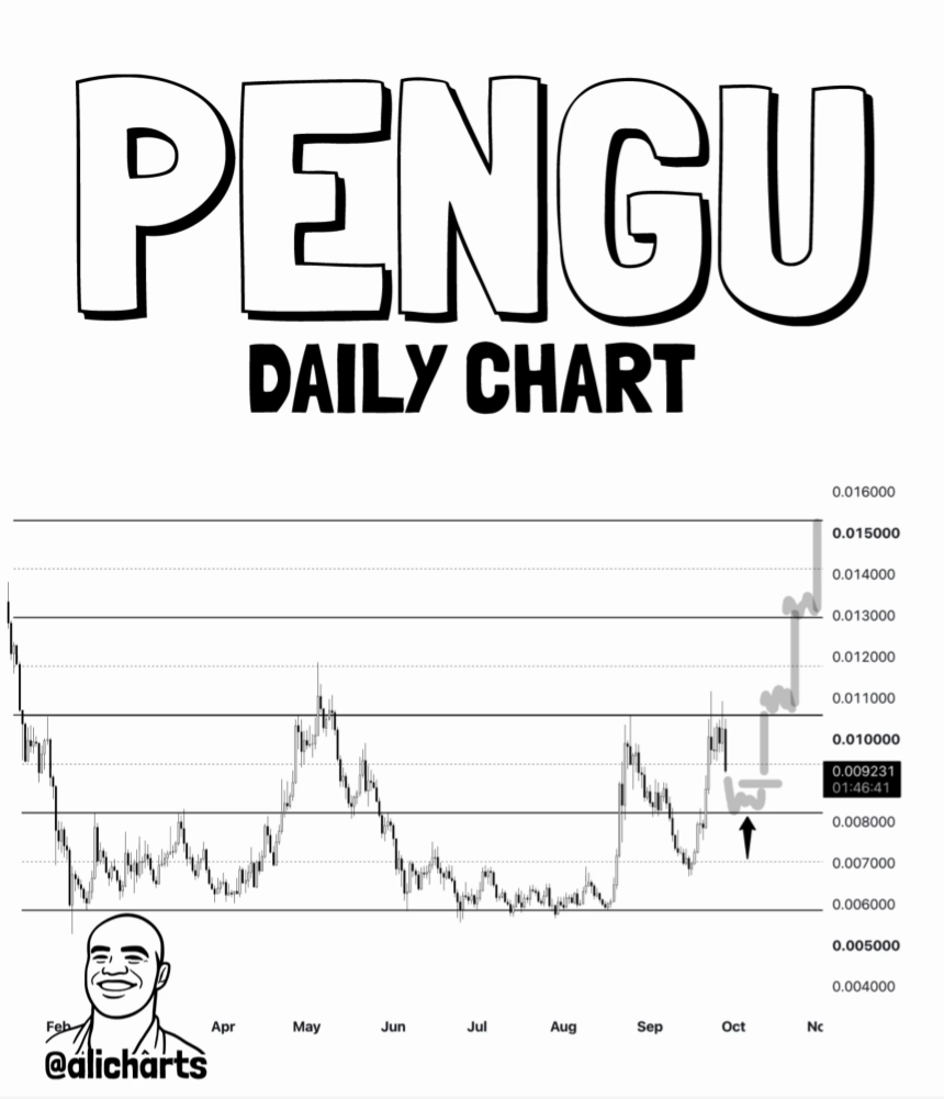 PENGU Daily Chart