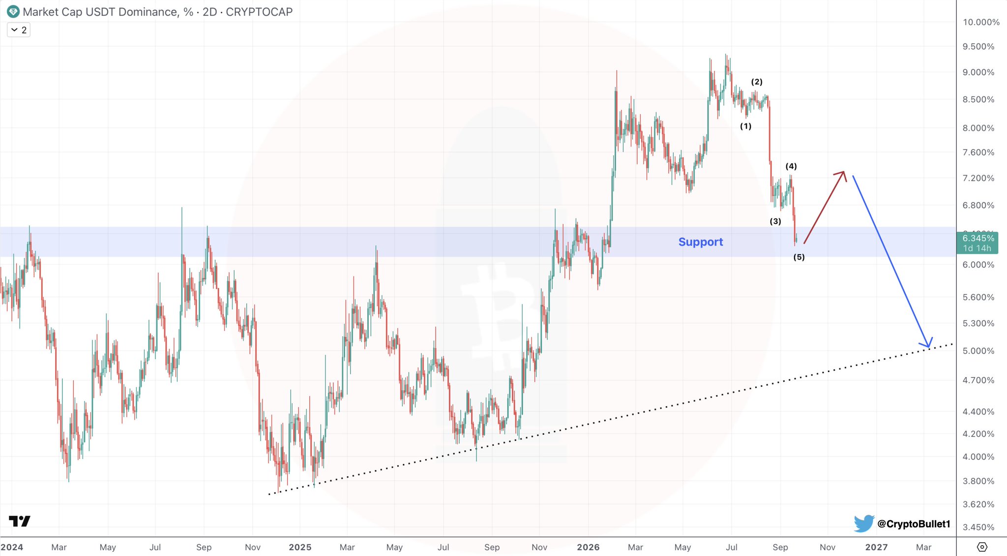 USDT Dominance Completes 5-Wave Decline — Short-Te | Source: @CryptoBullet1 (X)