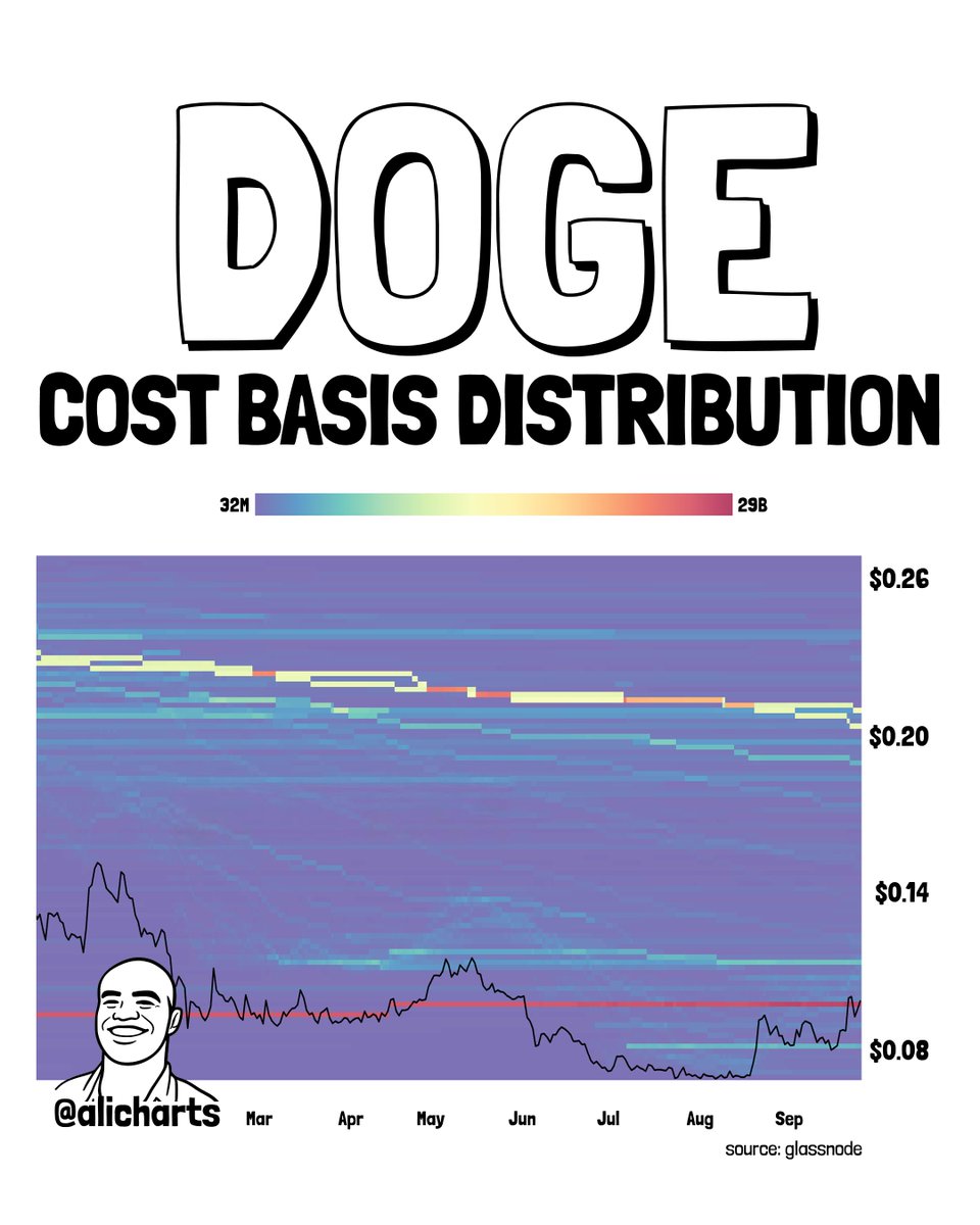 DOGE Cost Basis Distribution Analysis DOGE Cost Basis Distribution Analysis