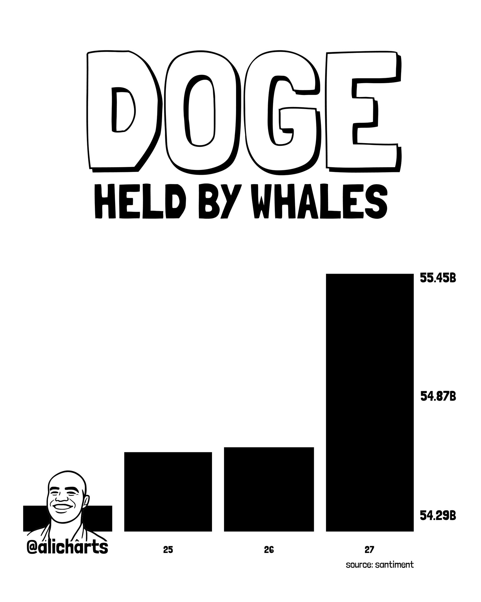 DOGE Whale Accumulation Analysis