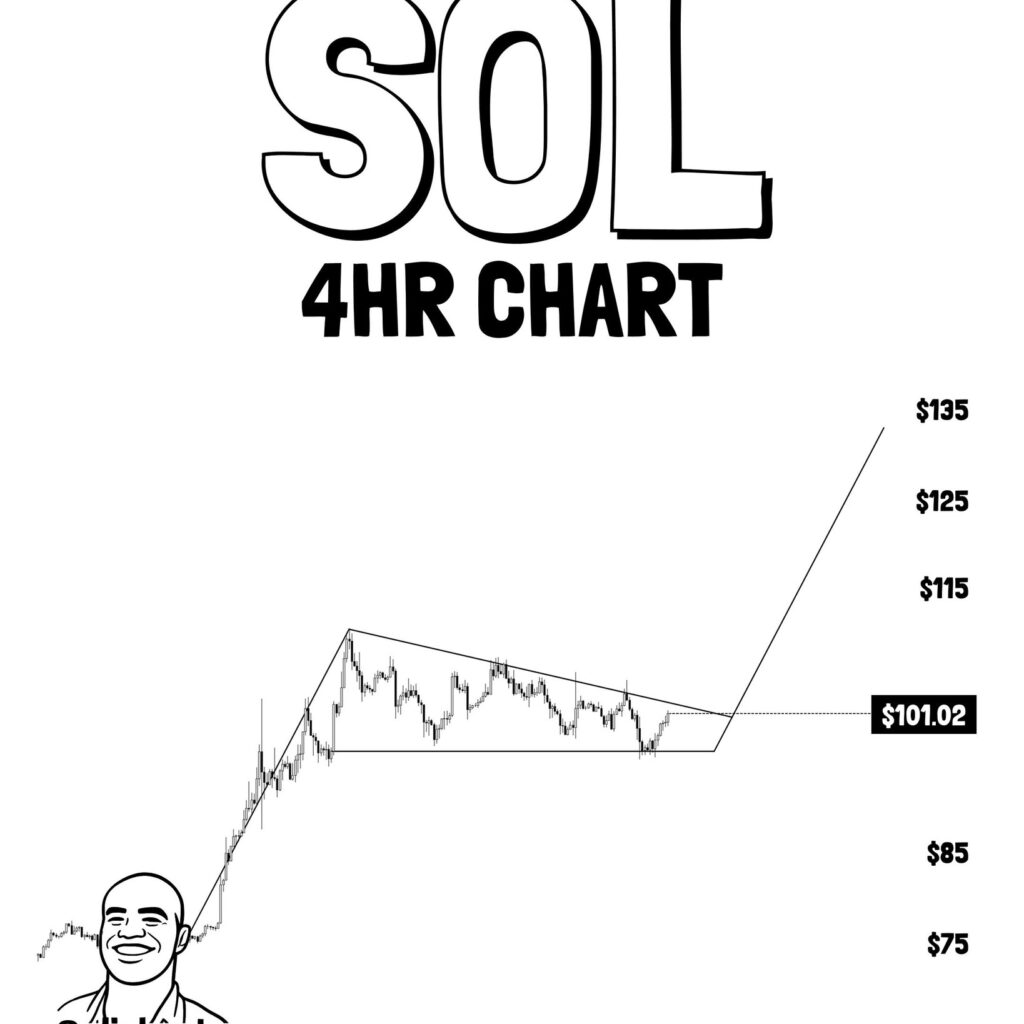 Is Solana Coiling for a Breakout? Bull Flag at $10 | Source: @alicharts (X)