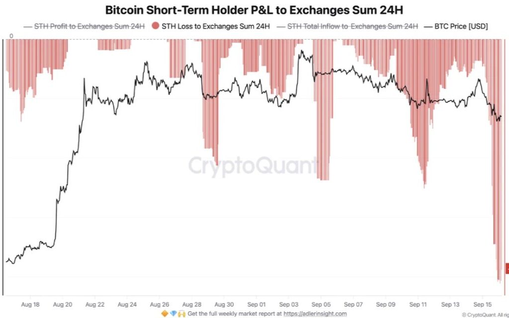 Bitcoin Short term Holders P&L