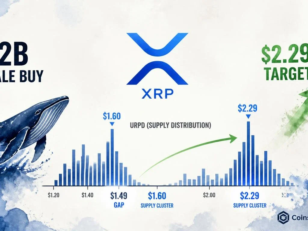 XRP Whales Accumulate $2B — URPD Shows Clear Path to $2.29