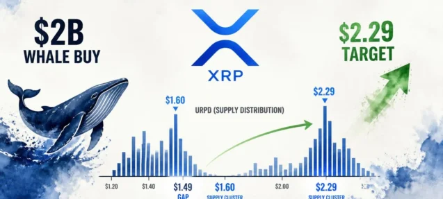 XRP Whales Accumulate $2B — URPD Shows Clear Path to $2.29