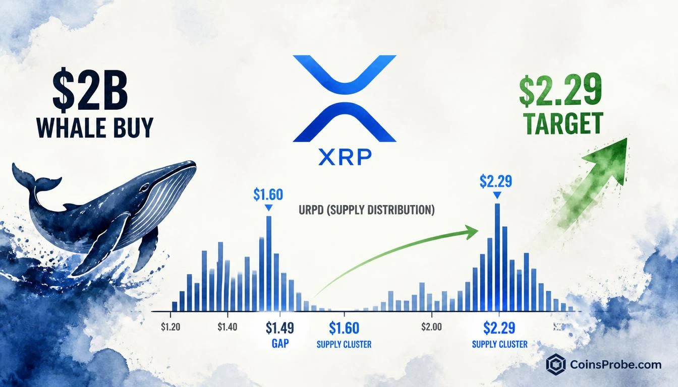 XRP Whales Accumulate $2B — URPD Shows Clear Path to $2.29