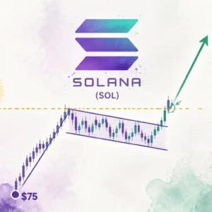 Is Solana Coiling for a Breakout? Bull Flag at $101 Eyes $130 Target