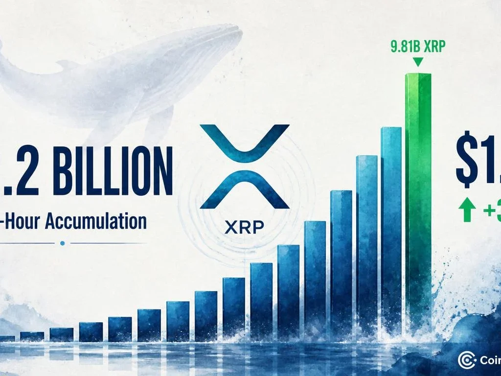 XRP Whales Accumulate $2.2B in 96 Hours — Supply Shock Building