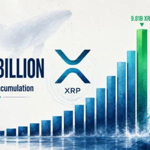 XRP Whales Accumulate $2.2B in 96 Hours — Supply Shock Building