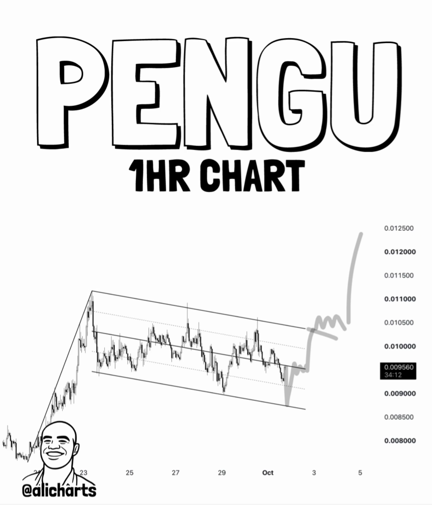 PENGU 1H Chart