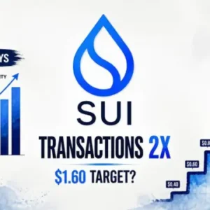 SUI Daily Transactions Doubles in 30 Days as Stair-Step Pattern Targets $1.60