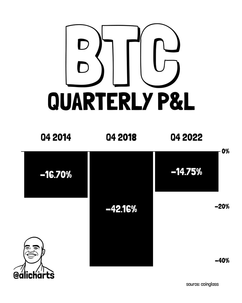 BTC Quarterly P&L Analysis
