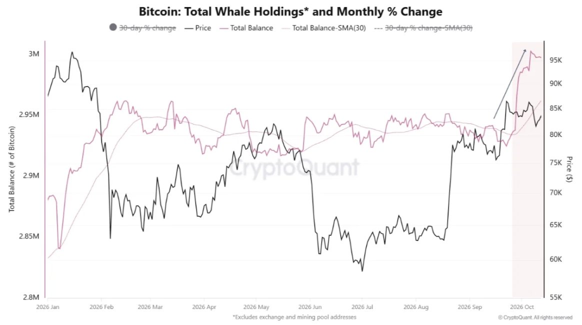 Bitcoin Whale Holdings