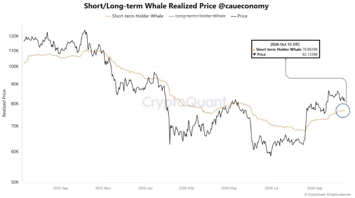 New Whales Now Hold 1/3 of Bitcoin's Whale Realize