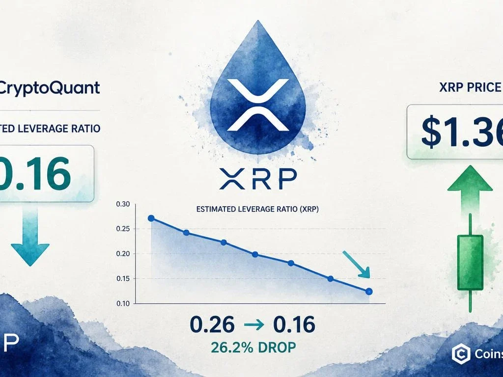 XRP Leverage Ratio on Binance Drops 26.2% — What It Means for Liquidation Risk