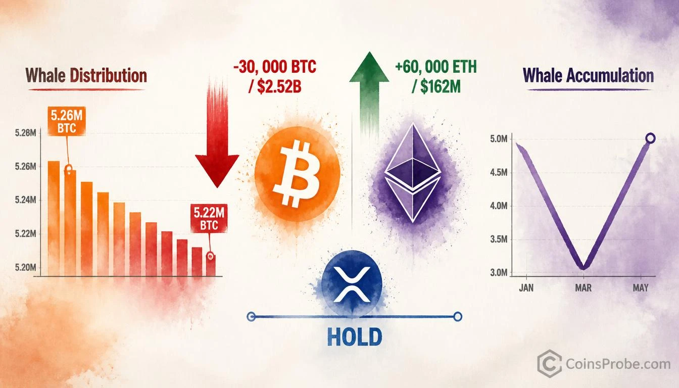 Bitcoin Whales Dump $2.52B While ETH and XRP Whales Hold Firm