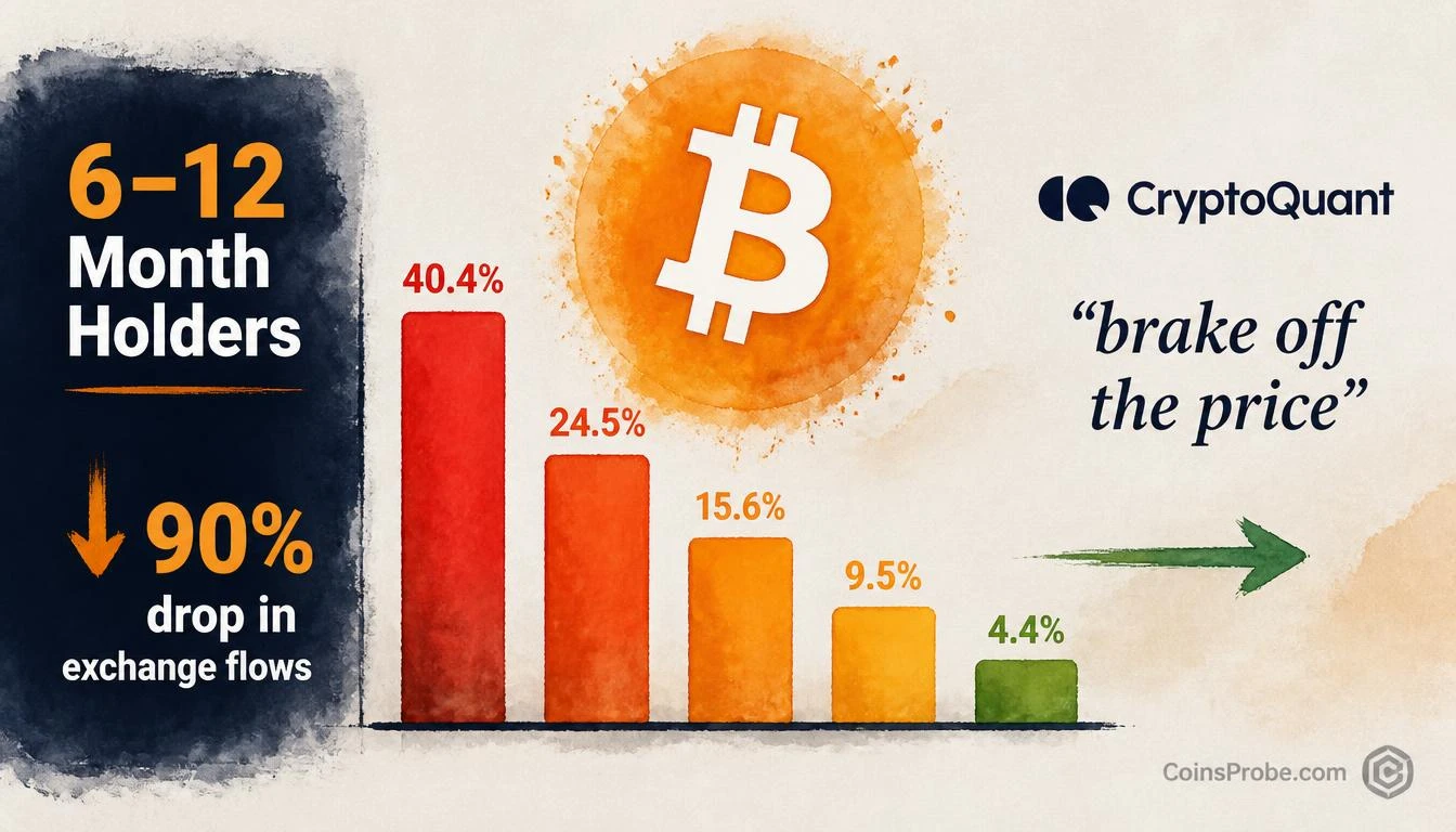 Only 4.4% of BTC’s 6–12 Month Holders Are Selling — What It Means
