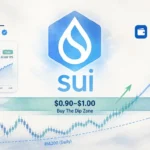 SUI Hits 'Buy The Dip' Zone at $0.91 — Analyst Calls Gradual Scale-In