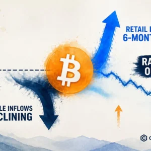 Bitcoin Retail Inflows Hit 6-Month High as Whales Distribute at $80K