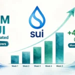 SUI ETF Inflows: Five Weeks of Demand — What the Data Actually Shows