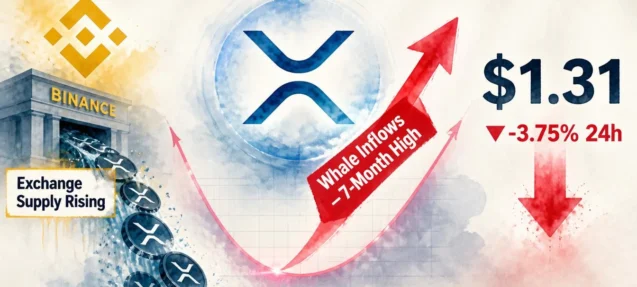 XRP Whale Inflows to Binance Hit Seven-Month High — Sell Pressure Risk Rises