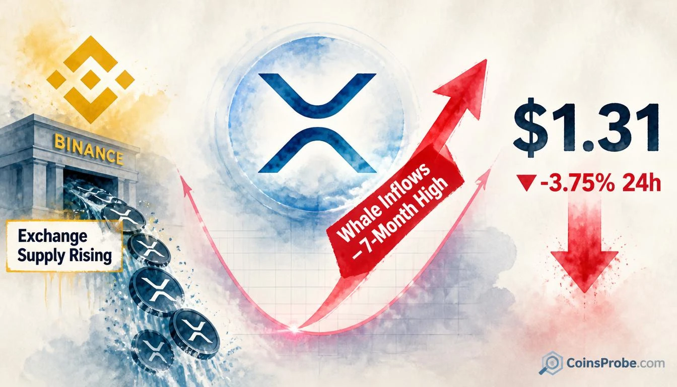 XRP Whale Inflows to Binance Hit Seven-Month High — Sell Pressure Risk Rises