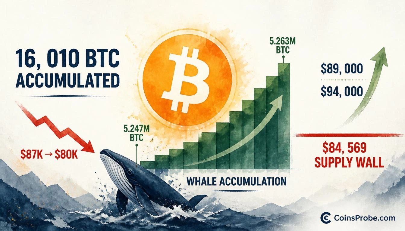 Bitcoin Whales Added 16,010 BTC During the Dip — $84,569 Is the Line