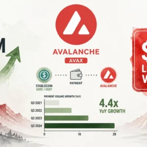 Axiym Stablecoin Payment Volume on Avalanche Hits $2B Lifetime, 4.4x YoY Growth
